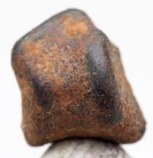 NWA 859 TAZA Iron Meteorite Specimen Space Rock Natural Patina NORTHWEST AFRICA