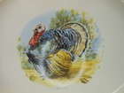 Picture 2 of 9