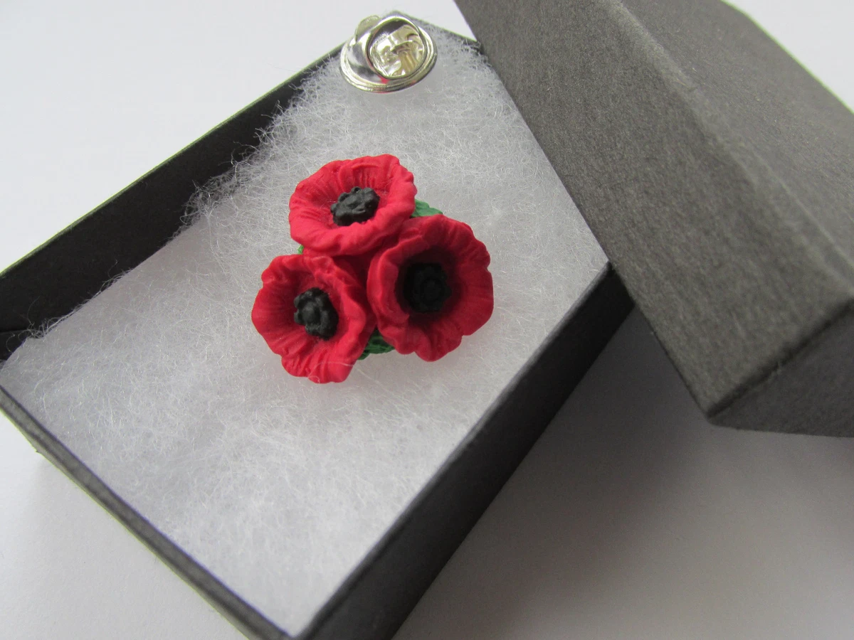 Red and on sale black brooch