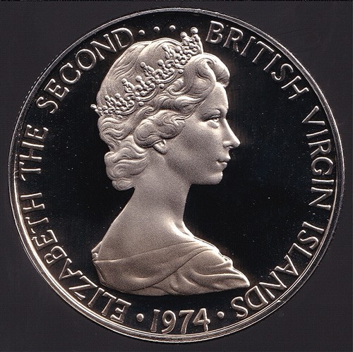 British Virgin Islands 1974 Ten Cents 10c (Ringed Kingfisher) - Proof - Picture 2 of 3