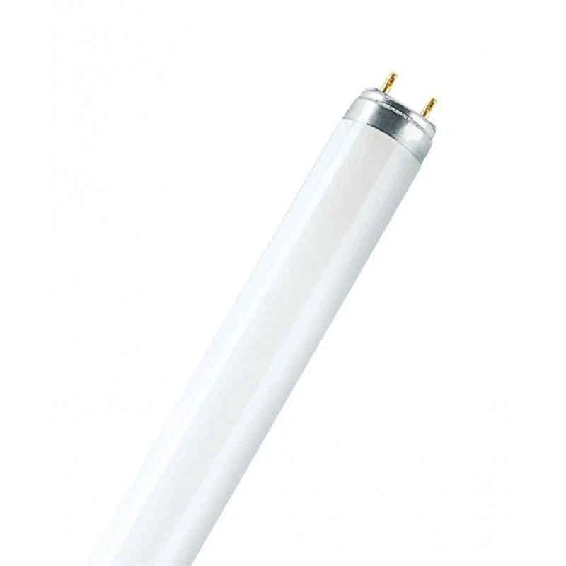 Osram g13 on sale