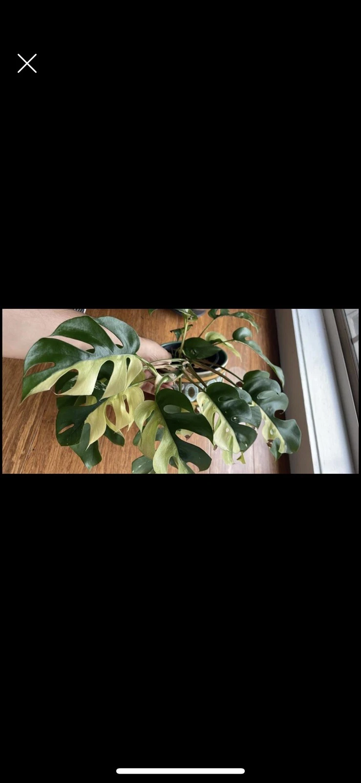 Picture 2 of 8
