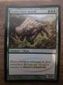 Magic The Gathering Leatherback Baloth #37 DCI Promo Foil MTG TCG CCG