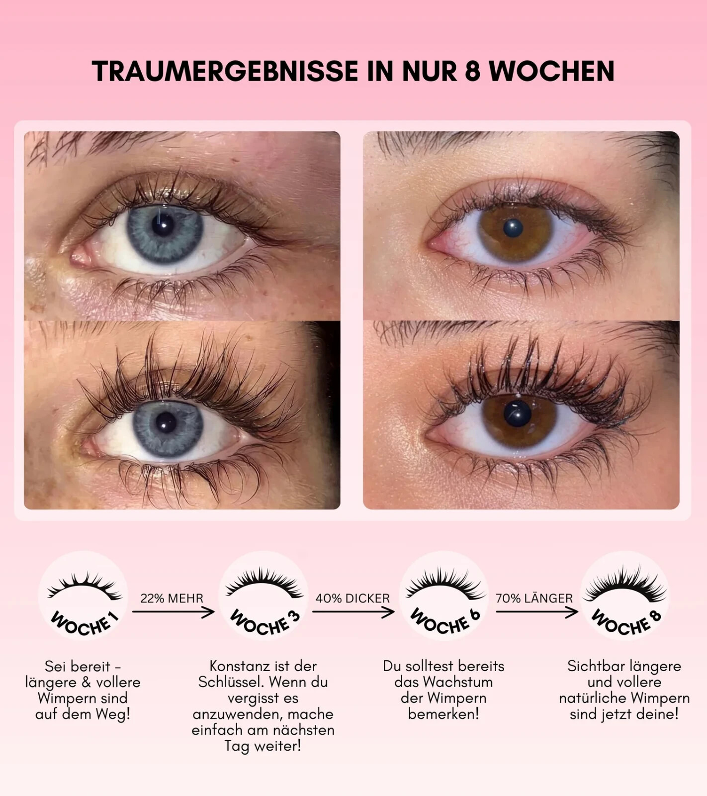 Bild 3 von 6