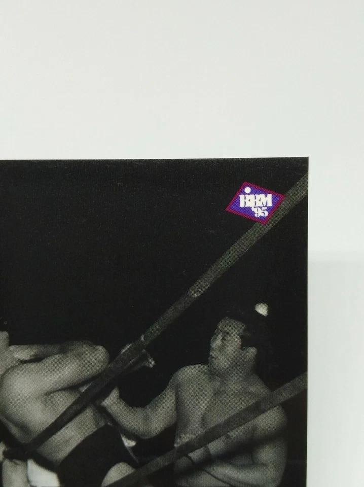 RIKIDOZAN Pro-Wrestling Cards BBM 1995 NO.210 Very rare Japan Japanese - Image 2 of 4