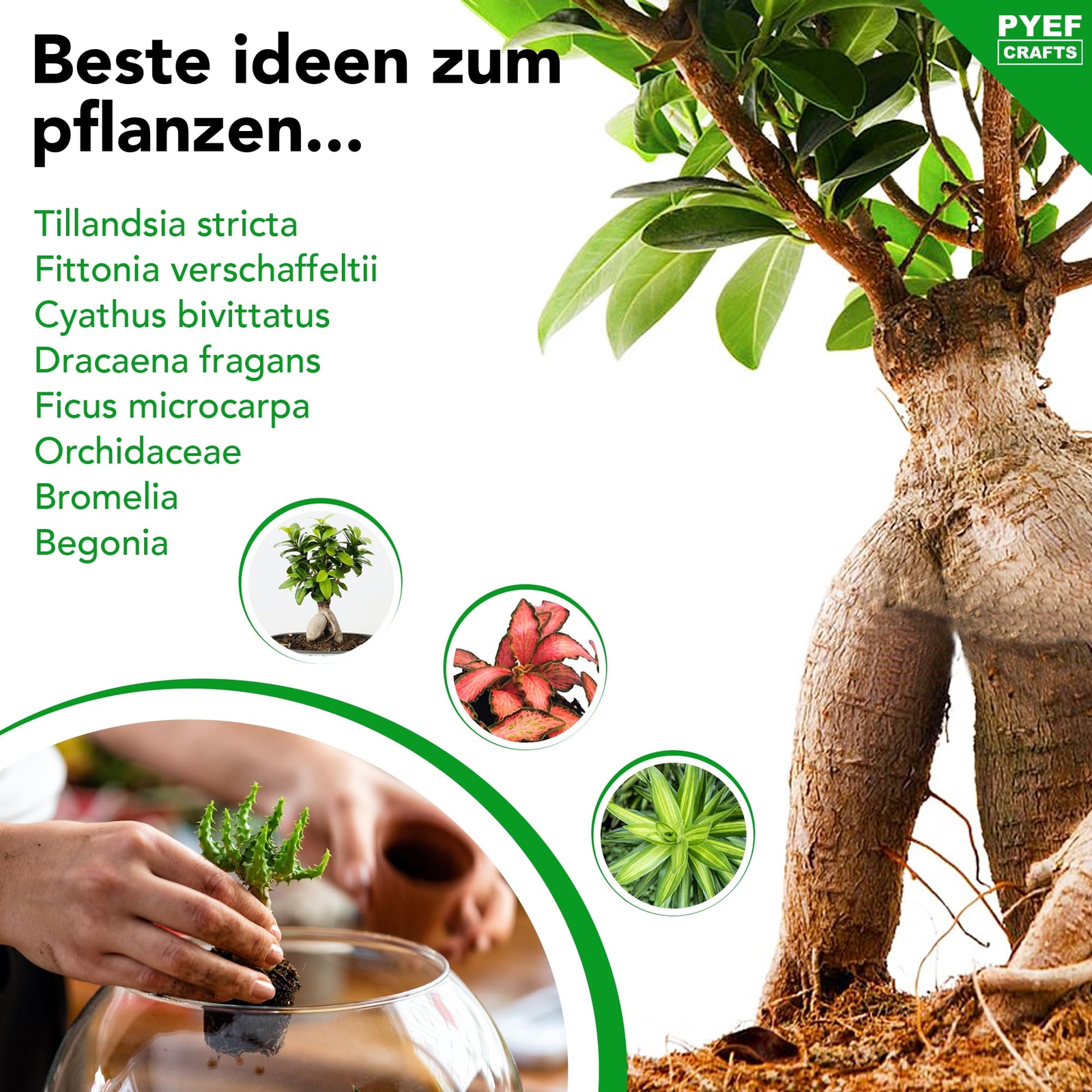 Bild 6 von 8