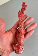 Old Red Rough Branch Coral Specimen 186g Deep Sea Buddhist Natural Healing #3