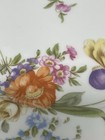 ROSENTHAL Selb-Bavaria Dinner Plate Meissen  Floral 10" Set Of 2 — photo 3
