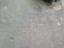 Bild 5 von 5