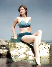 IRISH McCALLA #36 BEAUTIFULLY COLORIZED PHOTO 11 X 8.5 SHIPS FREE