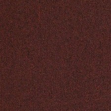 Koeckritz Outside Agenda Barnside 14oz Level Loop Indoor/Outdoor Area Rug