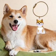 Dog Hair Memorial Box Keychain Clear Display Box Pet Hair Storage Box