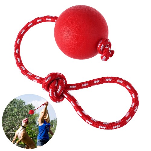 Pet Toy Ball Solid Rubber on Rope Training Toys for Dogs Interactive