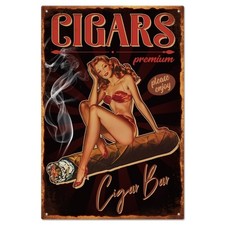 Vintage Pin Up Lady Metal Tin Sign 8 12inch Retro Cigar Funny Tin Room Door S...