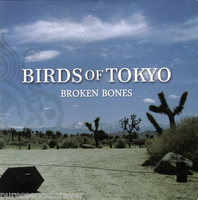 BIRDS OF TOKYO - Broken Bones (UK 1 Track DJ CD Single)