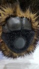 Foto 3 di 5