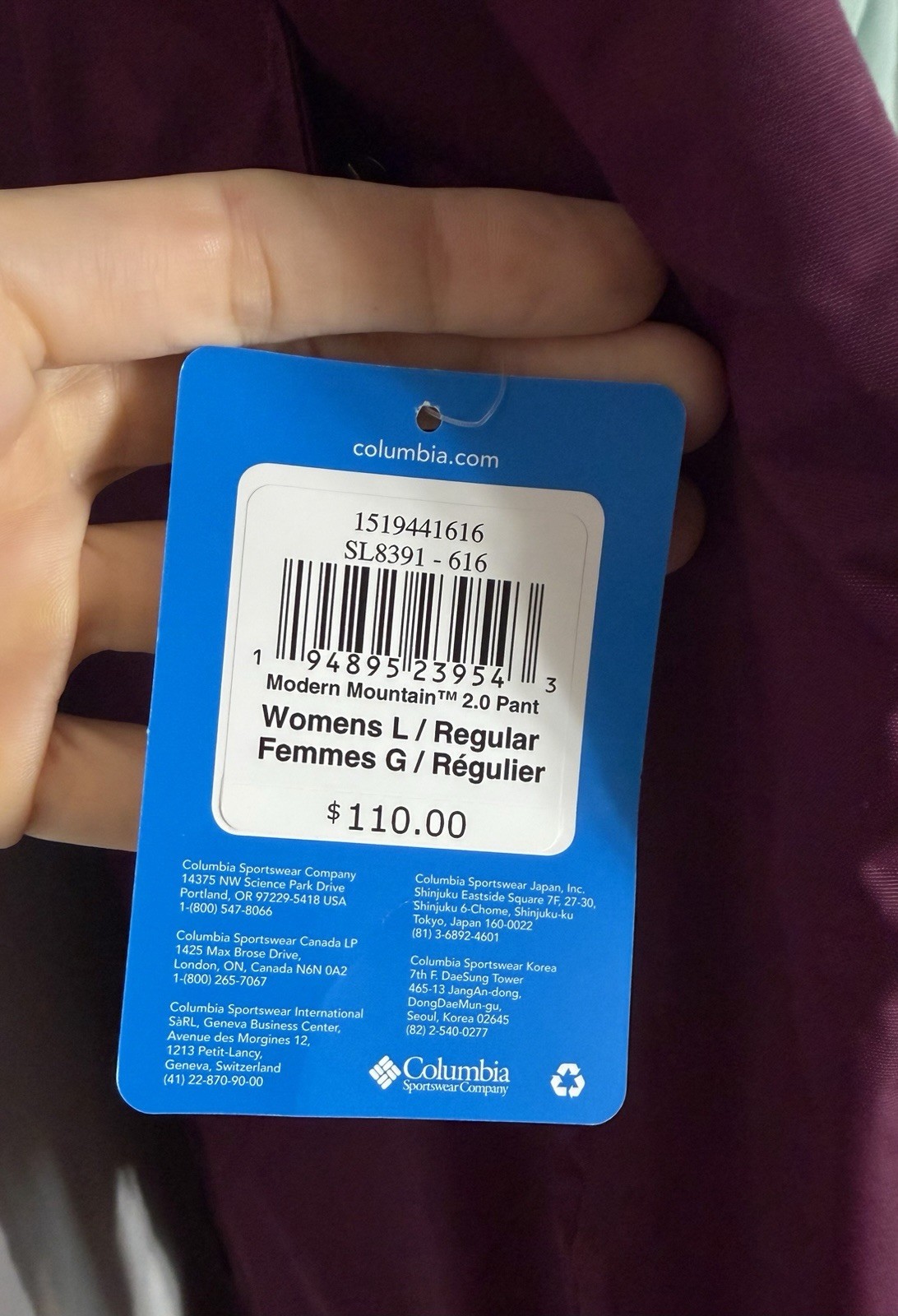 NWT Columbia Women’s Modern Mountain 2.0 Ski Pants Berry Snow Sz Large 