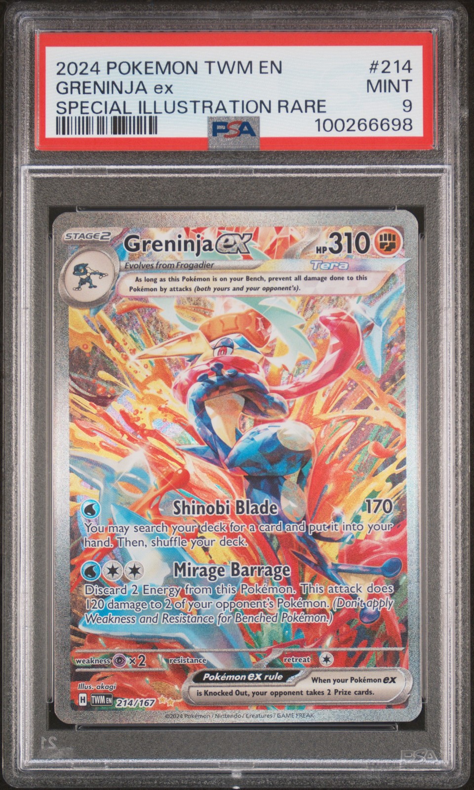 Greninja ex #214