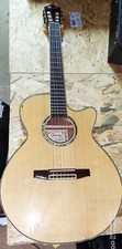 Guitare Ibanez AEG10NENTL202 a restaurer