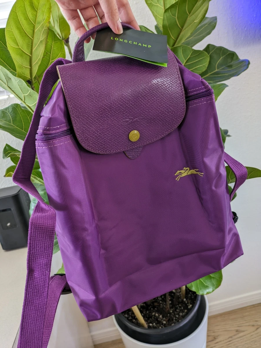 Foldable nylon backpack cheap