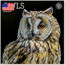 Owls Mini Wall Calendar 2026 7" X 7" ⭐️⭐️⭐️⭐️⭐️