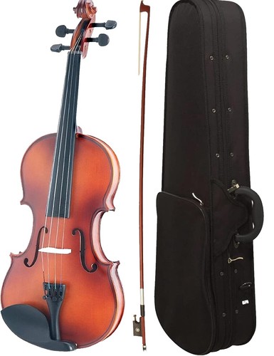B0102) Cecilio CVN-300 violin with case | eBay