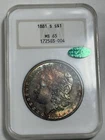 1881 S Toned Morgan $💎💎NGC Fatty Holder MS 65 CAC💎💎Awesome PQ Toner💎💎VIDEO