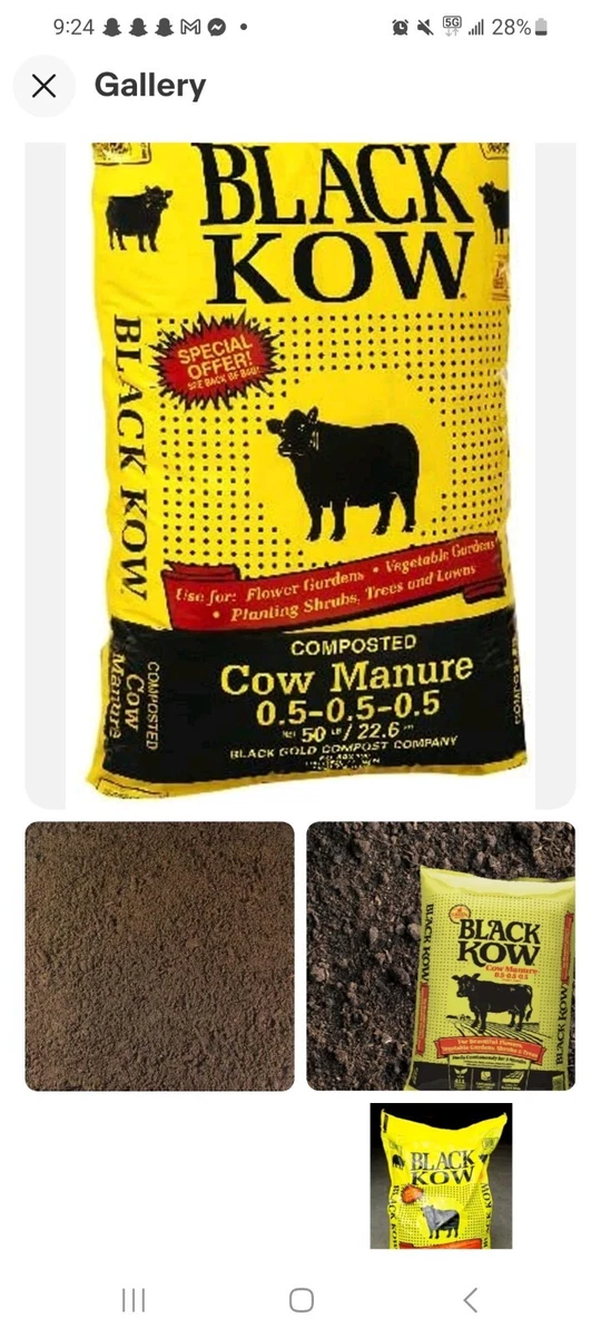 How Much Black Cow Manure For Vegetable Garden Fasci Garden