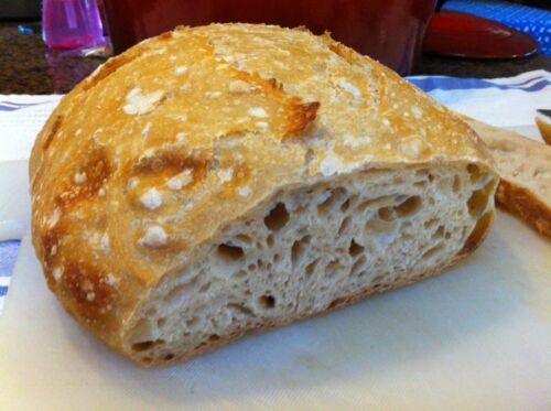 sourdough starter yeast VERIFIED 150yr old california goldrush country larry @ - Picture 1 of 12