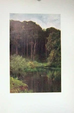 Original Old Antique Print Colour Trees Woodland Depths Wotton England