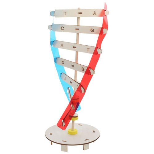 Plastic Double Helix Model Components Science Teaching Instrument