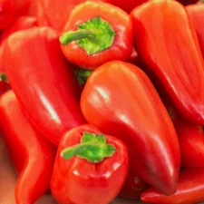 30+ PIMENTO SWEET PEPPER SEEDS NON-GMO FRESH FOR YOUR GARDEN
