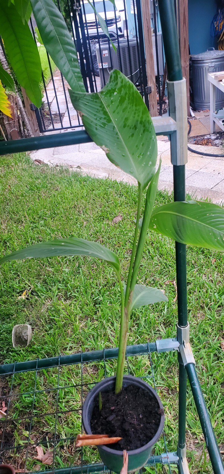 Picture 4 of 6