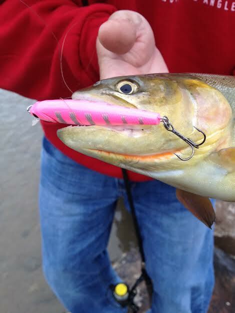 Esca Da Pesca Jerkbait Dynamic Lures J-SPEC - Perfetta Per Pesci D - Foto 2