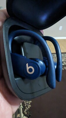 Beats by Dr. Dre Powerbeats Pro Earhook True Wireless Earbud -NO CHARGER CABLE