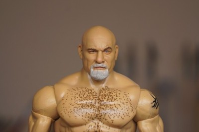 Mattel wwe wrestler figure Goldberg custom painted head | eBay