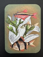 ACEO original art card collage hand-cut paper tropical fish ocean marine life