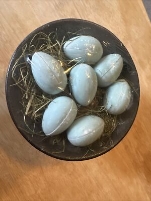 Vtg PIER ONE 1 Robin s Nest Blue Soap & Holder Easter Decor Aspen Flower Scent