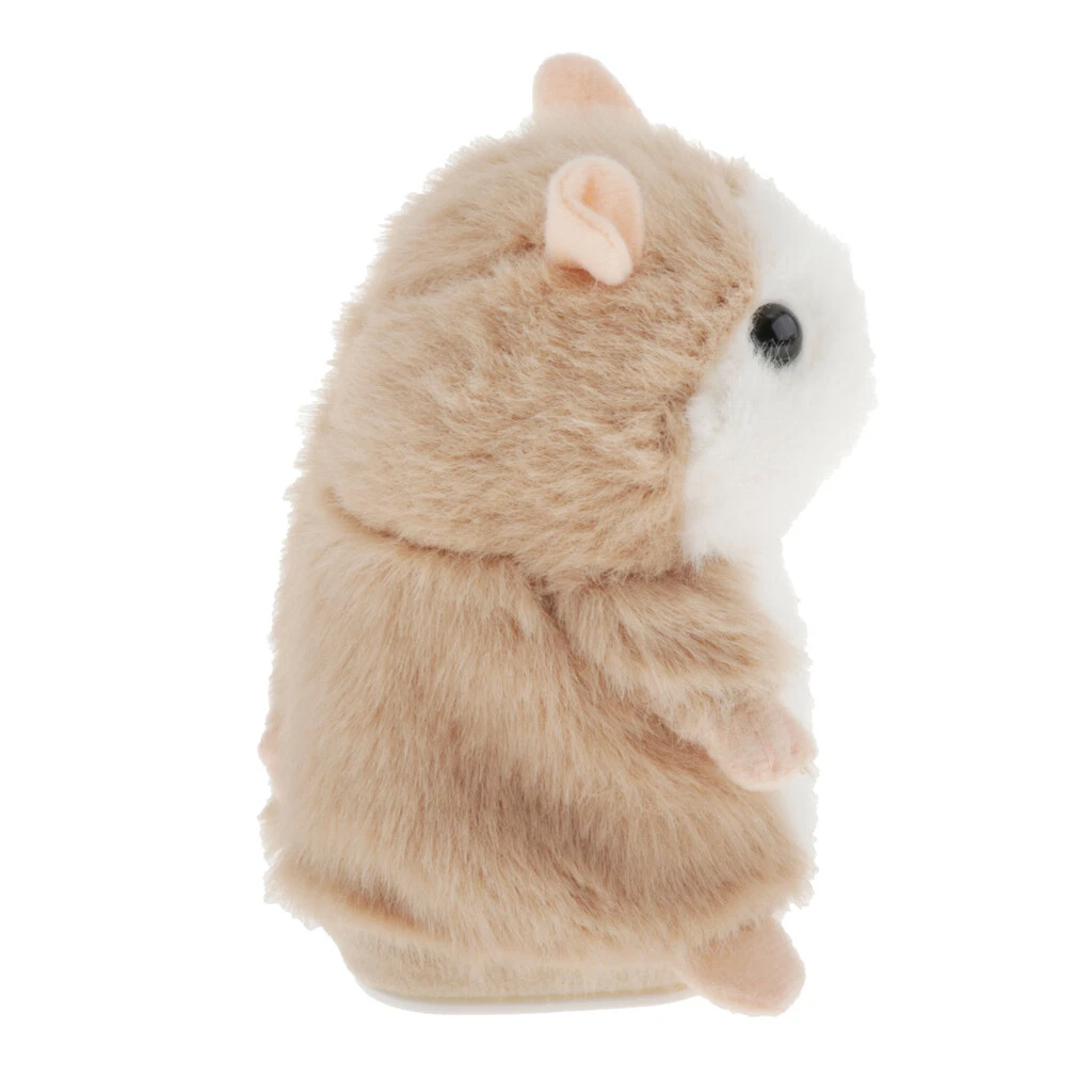 Recording hamster 2024