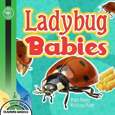 Ladybug Babies by Matt Reher (2015, Trade Paperback)