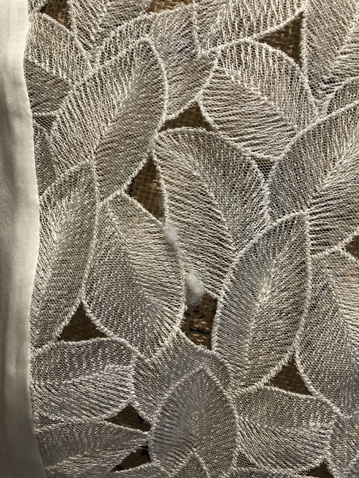 Picture 7 of 7