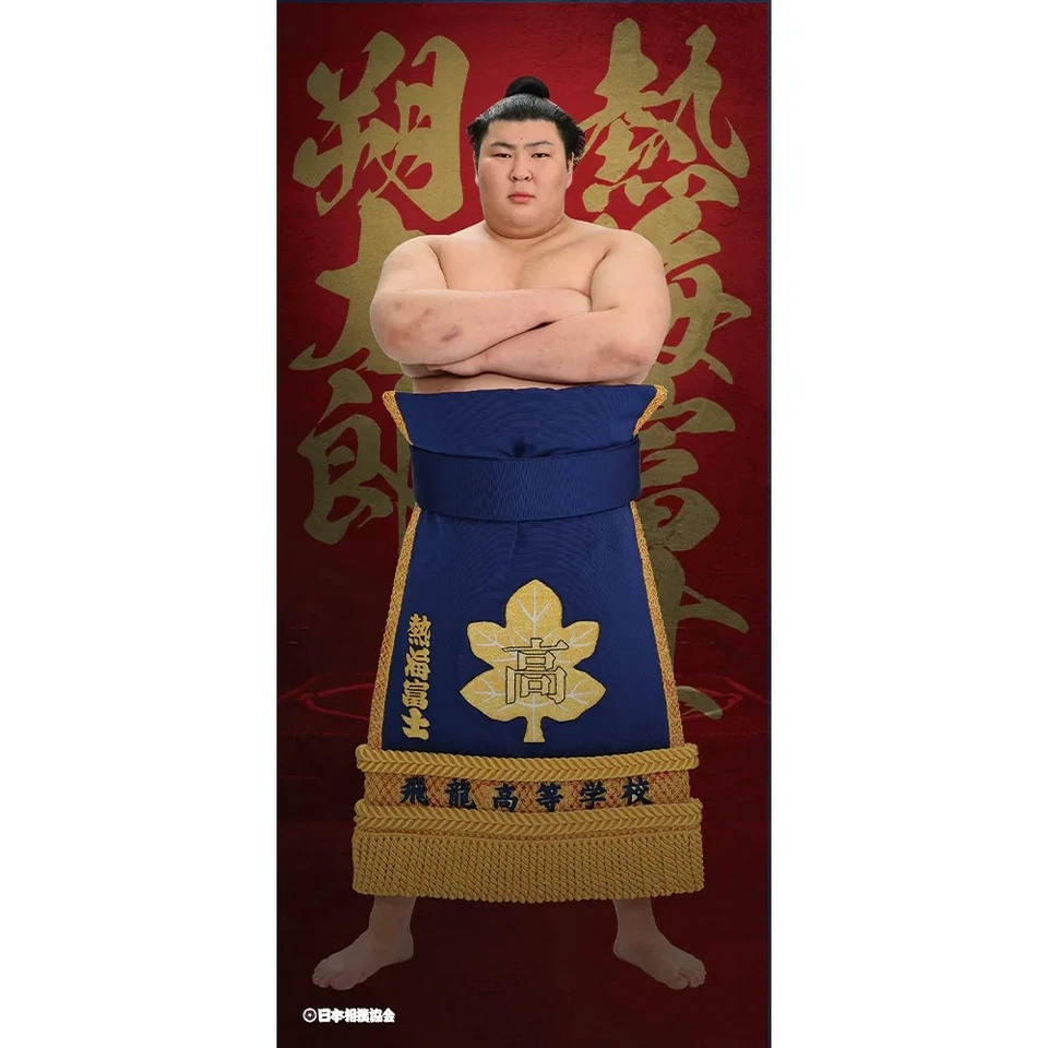 Affiche PSL Atamifuji Sumo Wrestler grande taille cadeau nouveau Japon... - Photo 1/1