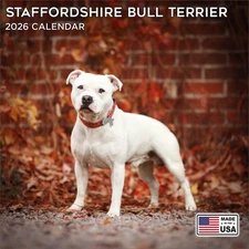 Staffordshire Bull Terrier Calendar 2026 - Dog Breed Calendar - Made in the USA!