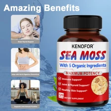 Seaweed Capsules - Certified Organic Irish Seaweed Capsules - 30to120 Capsules