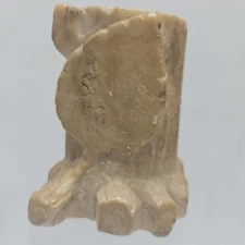 1906 Garden of the Gods Carved Stone Toothpick Holder- Tree Stump