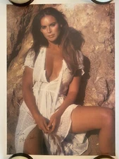 Kay York Poster 1979 Original Vintage Model Pinup Girl 1970s Celebrity Woman