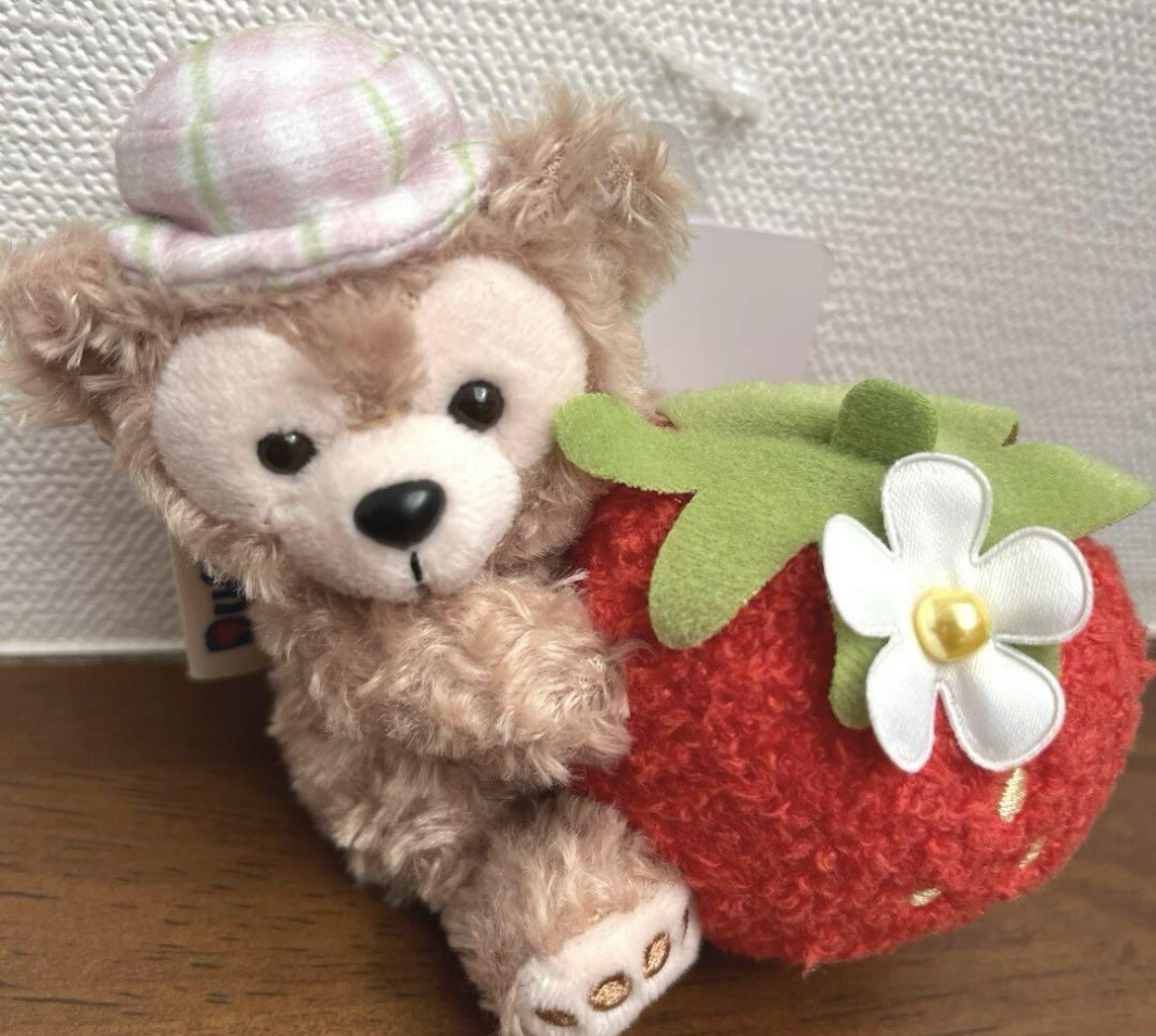 Tokyo Disney Resort Duffy Heartfelt Strawberry Gift Duffy