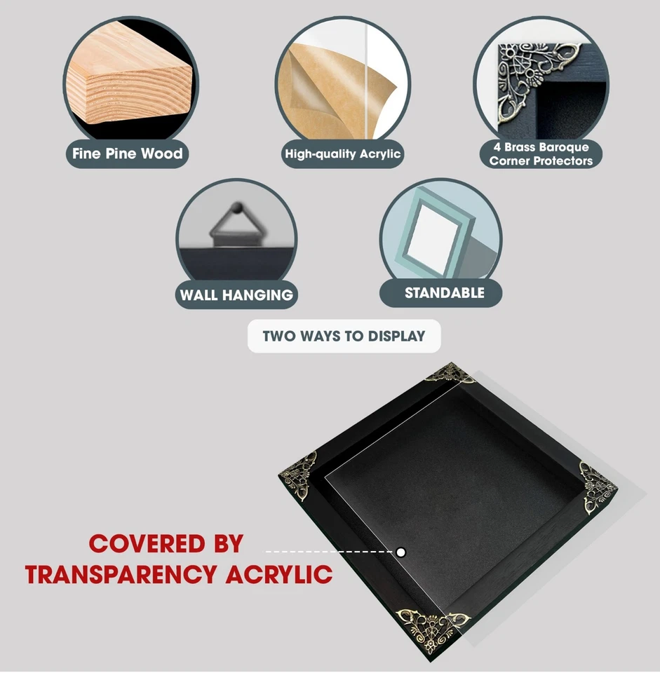 Framed Stag Beetle Taxidermy Insect Art Gallery Collection Oddities Decor - image 3 of 4