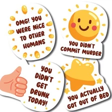 You Adulted Sarcastic Accomplishment Magnet Decal 4 Pack, 3 Inch, Funny Gift Set
