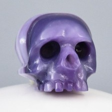 Perle Ovale Agustus-Collection en Coquillage 12,20 mm Crâne Humain Goth